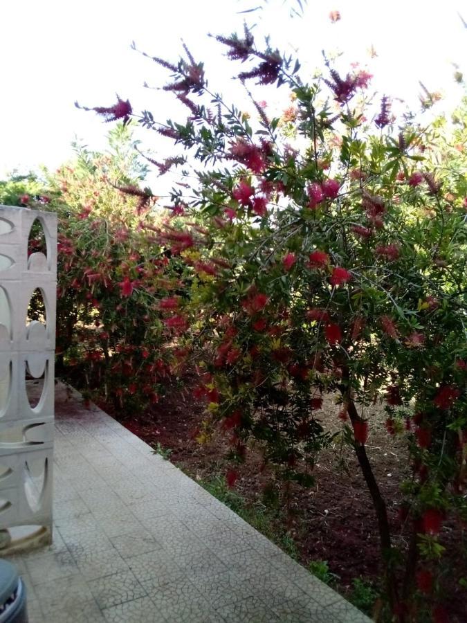 Villa Grazia Весте Екстериор снимка